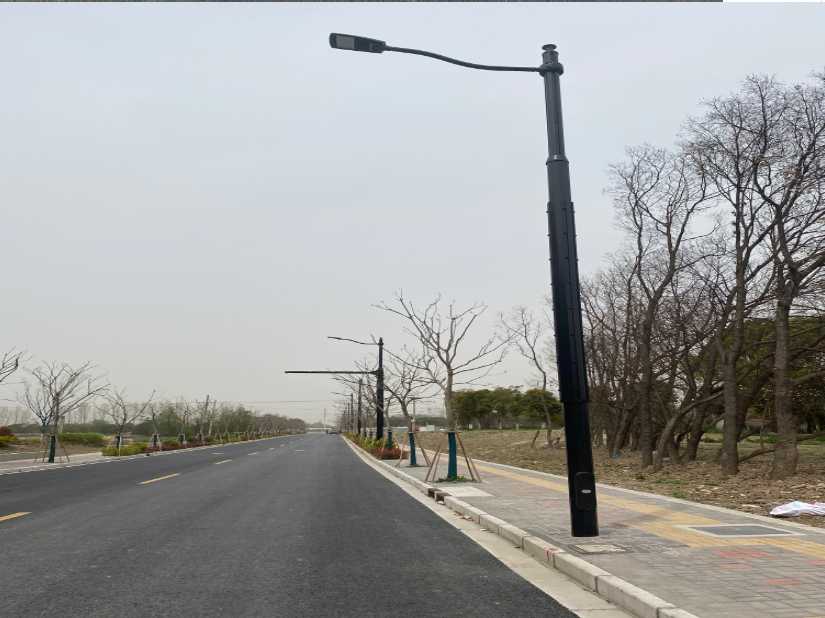 东侨区上海综合杆 太阳能路灯工程